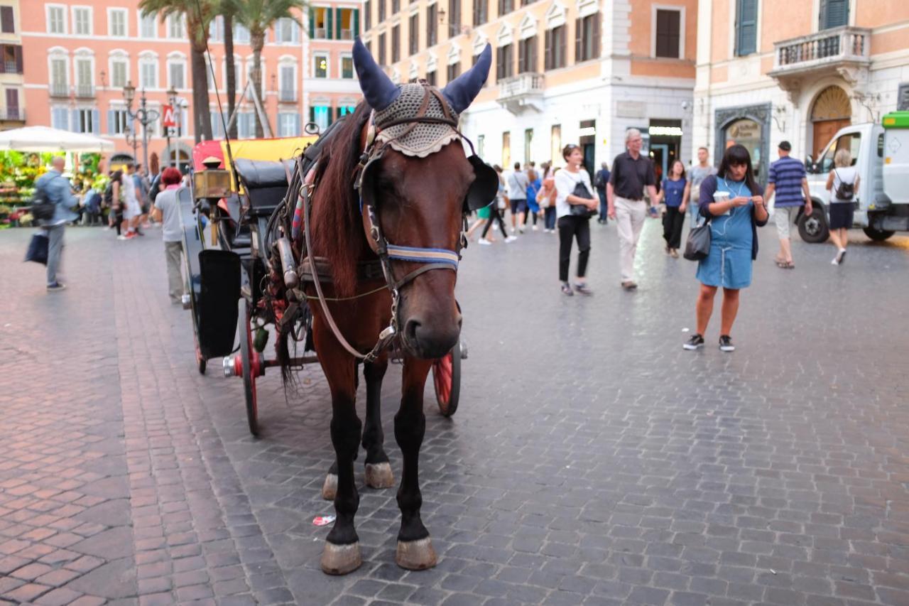 Joivy Trevi Fountain'S Relais Leilighet Roma Eksteriør bilde